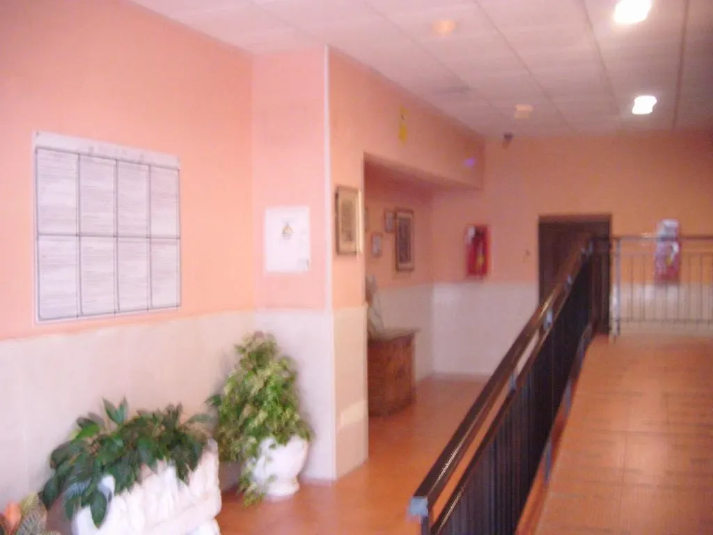 La Biznaga Hotel Benalmadena 0*,